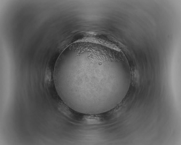 X0000112160331200908071143