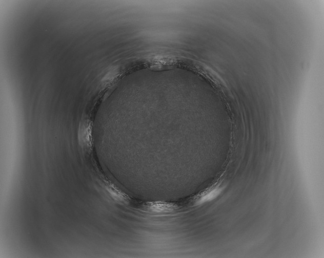 X0000112160336200908071143