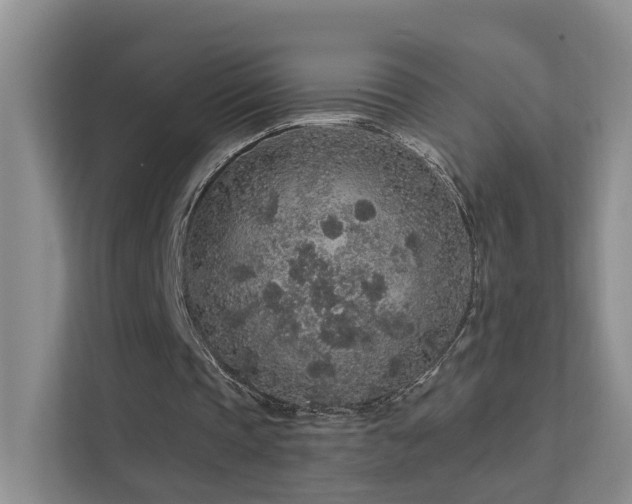 X0000112160337200908071142