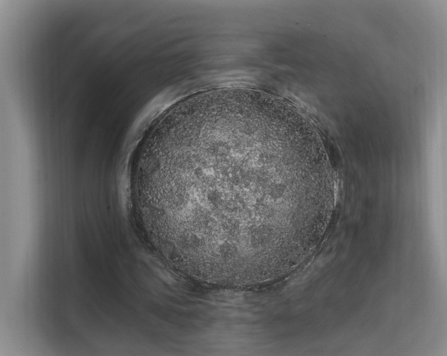 X0000112160339200908071142