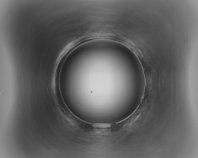 X0000112160340200908071142