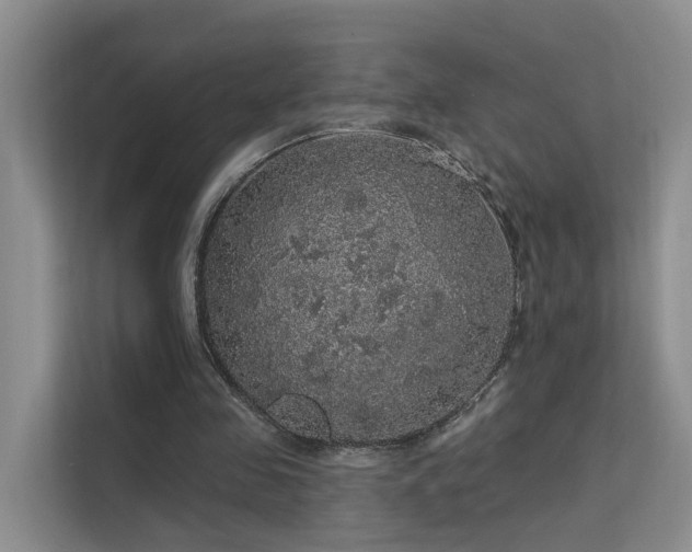 X0000112160341200908071142