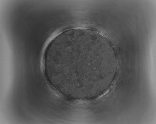 X0000112160343200908071142