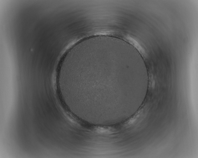 X0000112160346200908071142