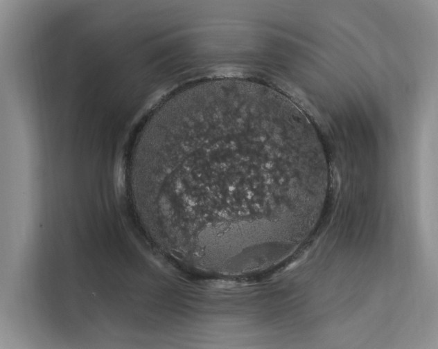 X0000112160347200908071142