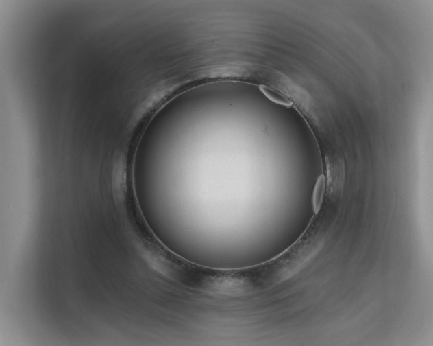 X0000112160348200908071142