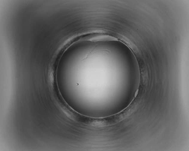 X0000112160350200908071143