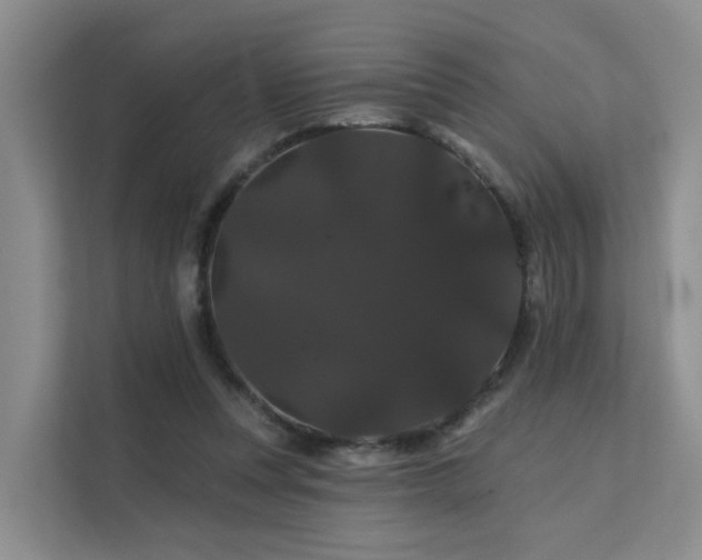 X0000112160351200908071143