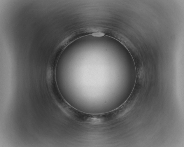 X0000112160352200908071143