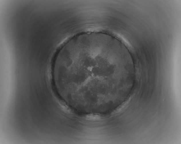 X0000112160354200908071143