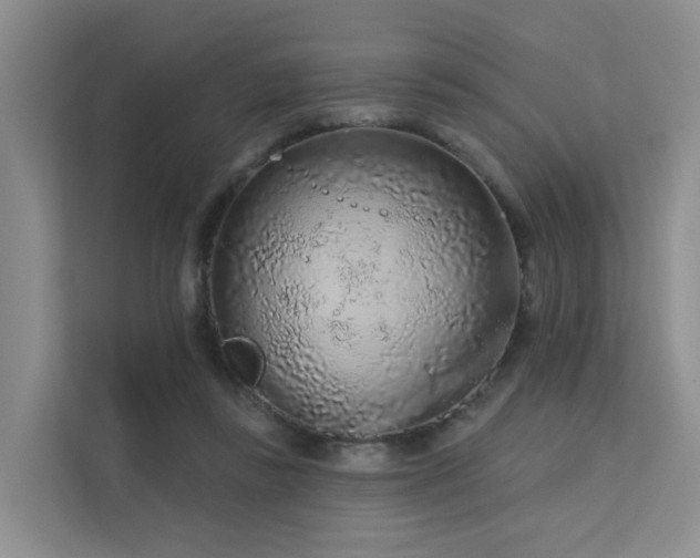 X0000112160355200908071143