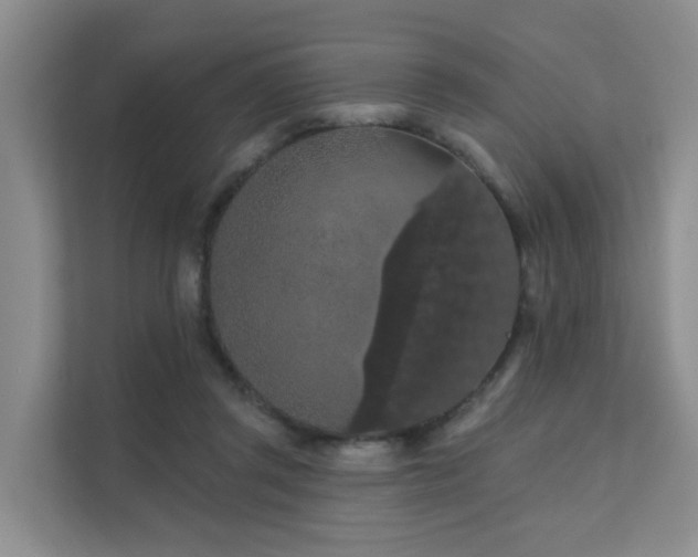 X0000112160357200908071143