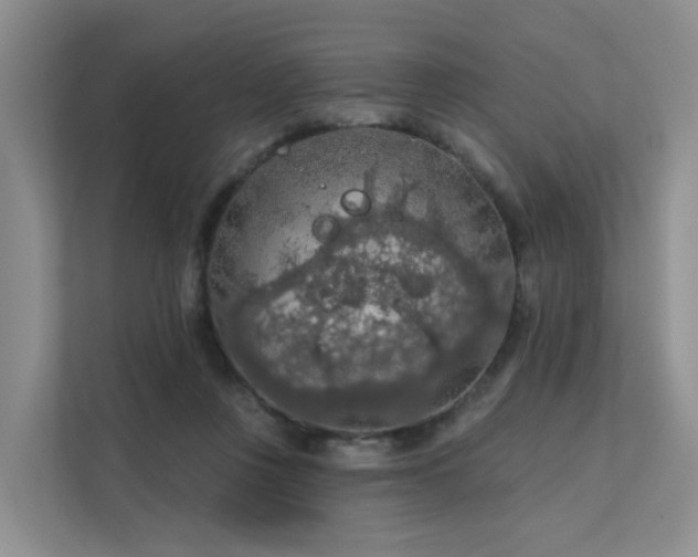 X0000112160359200908071143