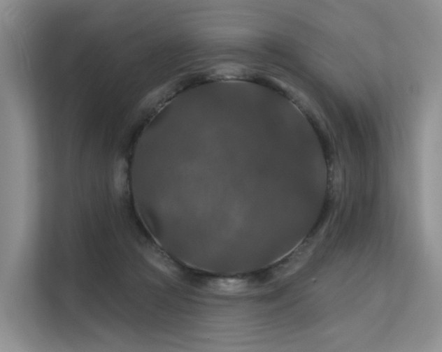 X0000112160361200908071143