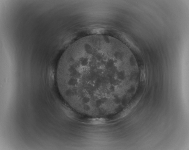 X0000112160363200908071143