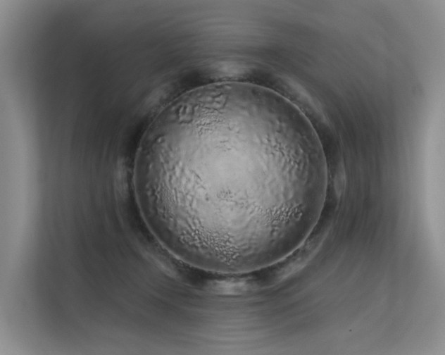 X0000112160366200908071143