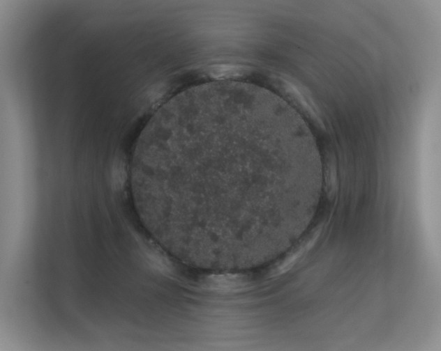 X0000112160367200908071143