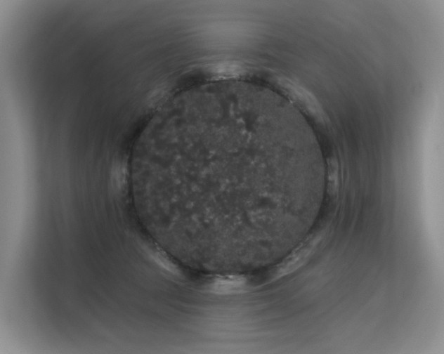 X0000112160369200908071143