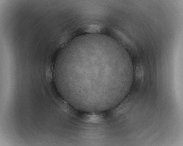 X0000112160370200908071143