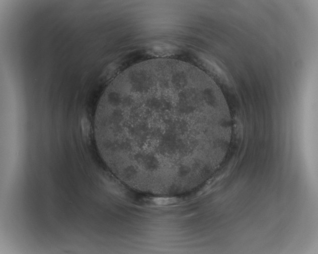 X0000112160371200908071143