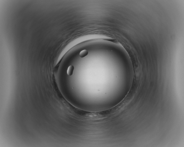 X0000112160372200908071143