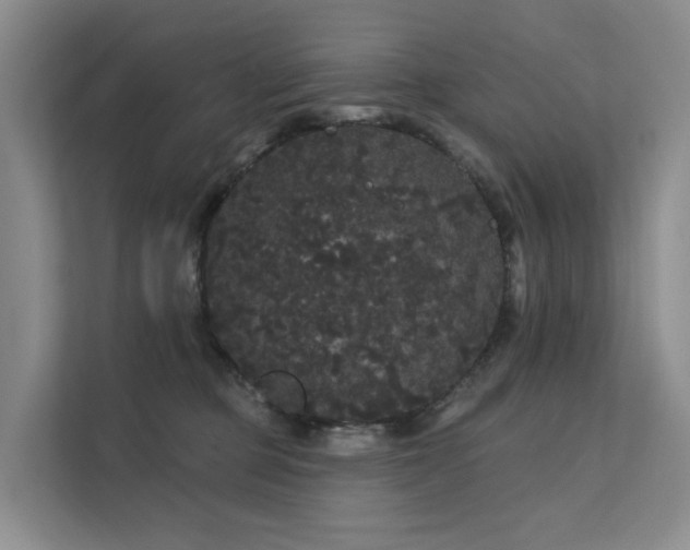 X0000112160373200908071143