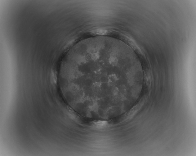 X0000112160374200908071143