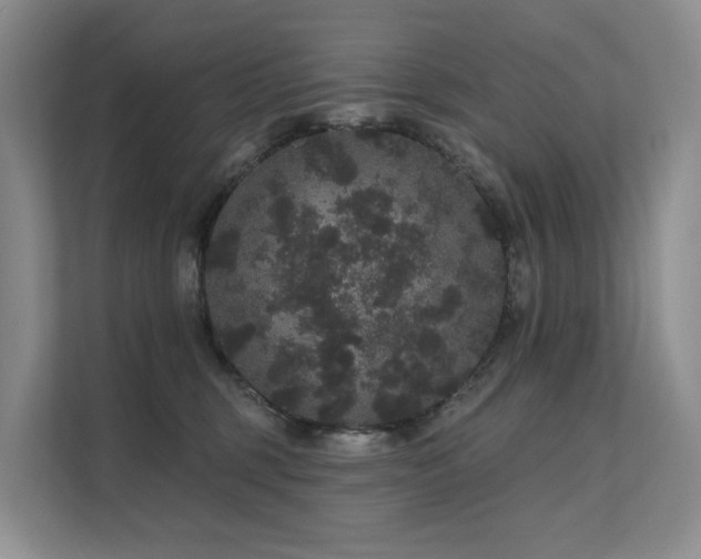X0000112160375200908071143