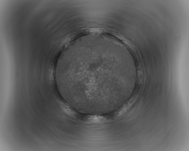 X0000112160379200908071143