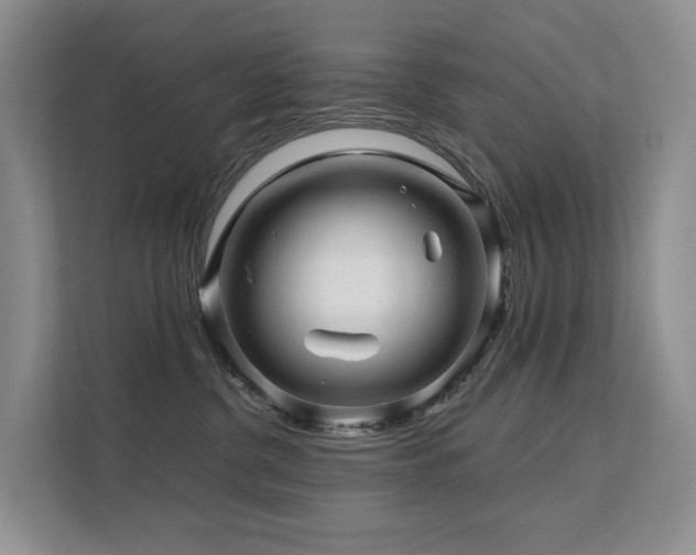 X0000112160380200908071143