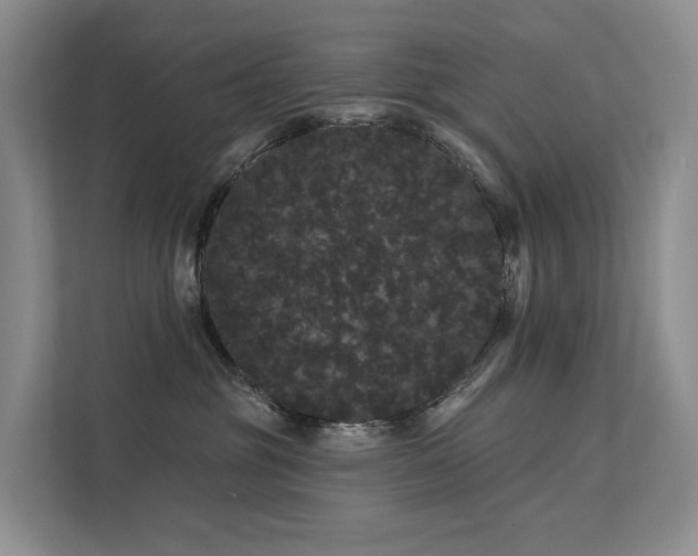 X0000112160381200908071143