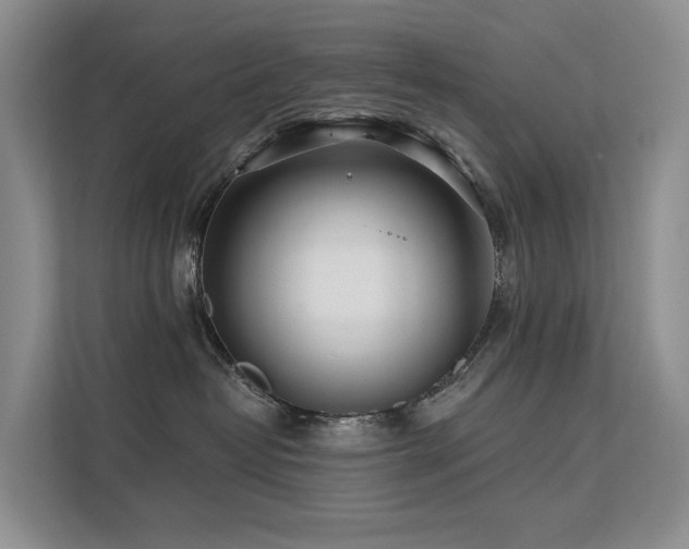 X0000112160382200908071143