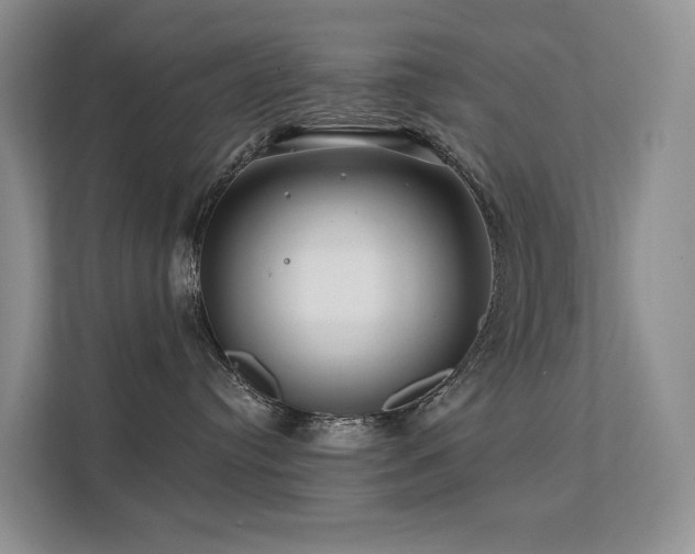 X0000112160384200908071143