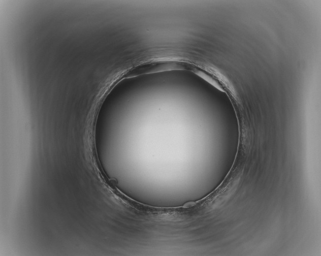 X0000112160385200908071142