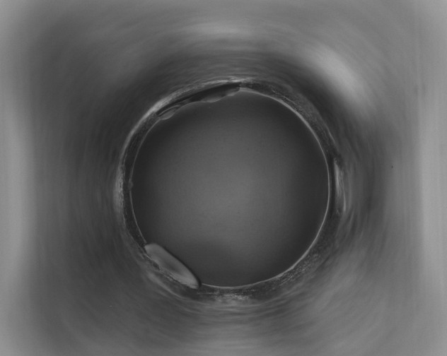 X0000112160387200908071142