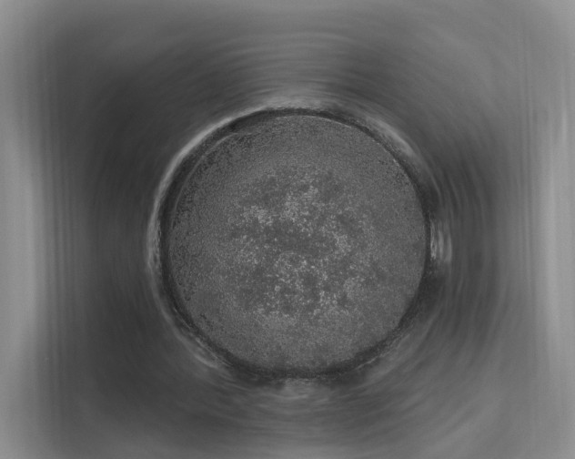 X0000112160388200908071142