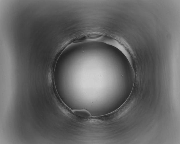 X0000112160393200908071142