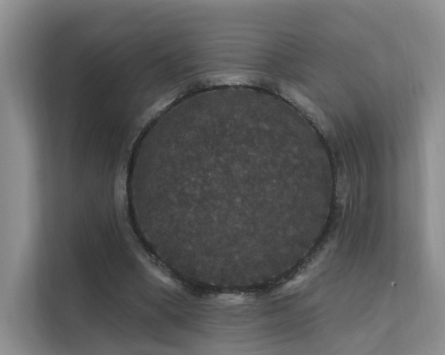 X0000112160394200908071142