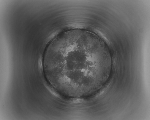 X0000112160398200908071142