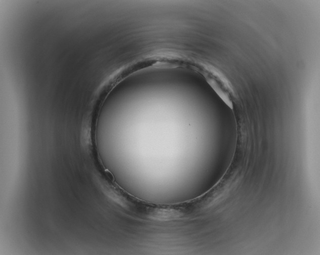 X0000112160399200908071142