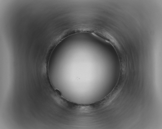 X0000112160401200908071142
