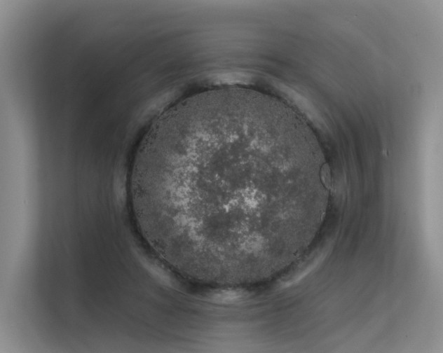 X0000112160402200908071142