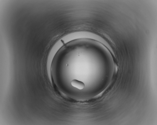 X0000112160403200908071142