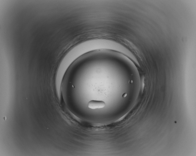 X0000112160405200908071142