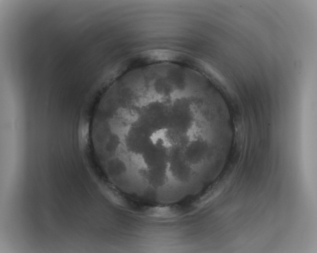 X0000112160406200908071142