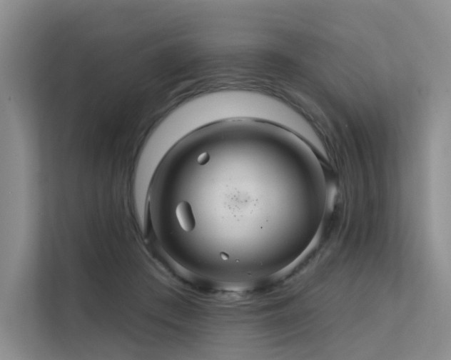 X0000112160409200908071142