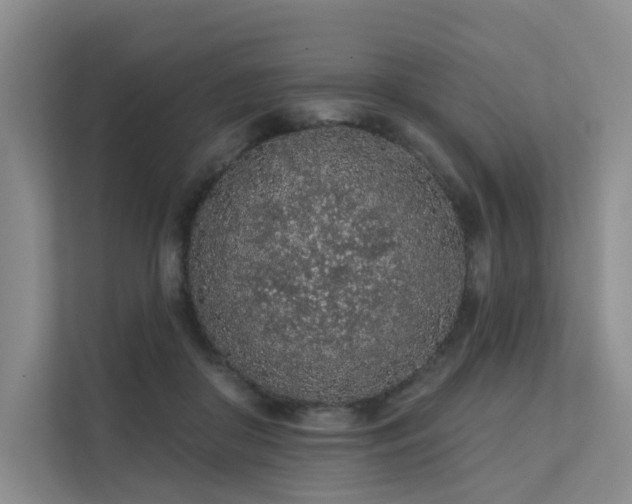 X0000112160410200908071142