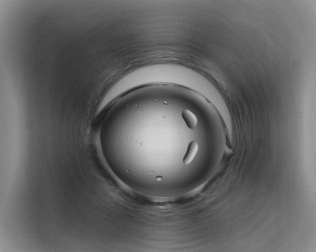 X0000112160411200908071142