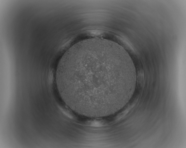 X0000112160412200908071142