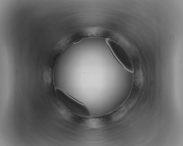 X0000112160413200908071142
